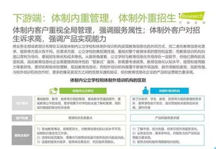 2019年中国教育信息化行业报告 信息技术咨询服务